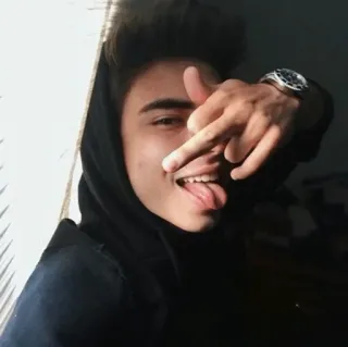 🌝 dito medio, gesto offensivo, teenager, felpa con cappuccio telegram sticker