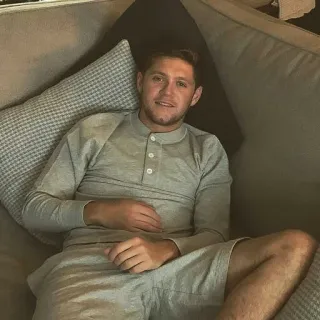 😄 Niall Horan niall horan, singer, celebrity, one direction, couch, relaxing, portrait telegram sticker