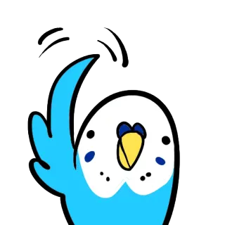 👋 burung, parkit, lucu, hewan, stiker, melambai telegram sticker
