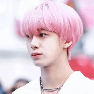 🌚 personne, homme, cheveux roses, kpop whatsapp sticker