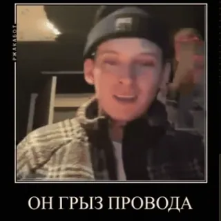 😆 ОН ГРЫЗ ПРОВОДА russisch, mann, meme, text telegram sticker
