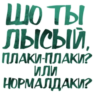 ❓ ШО ТЫ ЛЫСЫЙ, ПЛАКИ-ПЛАКИ? ИЛИ НОРМАЛДАКИ? русский, текст, стикер telegram sticker