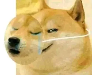 😌 doge, pies, mem, smutny, śmieszny, mem internetowy telegram sticker