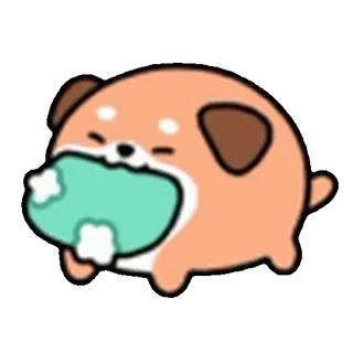 🐶