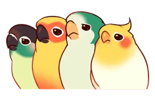 🙁 chim, vẹt, dễ thương, động vật, nhãn dán telegram sticker