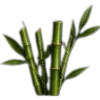 🥥