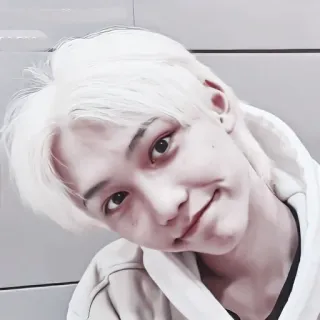 🕷 pessoa, retrato, homem, cabelo branco, sorrindo telegram sticker