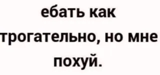 🙃 ебать как трогательно, но мне похуй. offensivo, volgare, frase, slang, russo telegram sticker