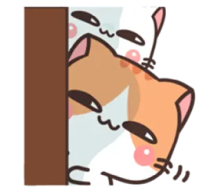😏 mèo, dễ thương, nhìn trộm, động vật, thú cưng, kawaii whatsapp sticker