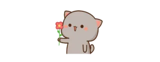 🌹 かわいい, 猫, 花, カワイイ, 漫画 telegram sticker