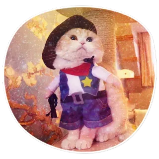 😊 cat, cowboy, pet, animal, western telegram sticker