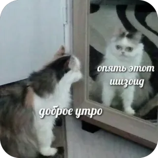 Больше стиков тут: @stikery4 telegram stickers
