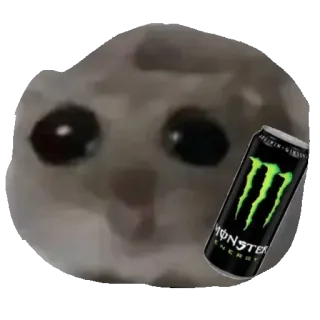 🥫 고양이, 몬스터 에너지, 슬픈 고양이, 밈, 동물, 음료 whatsapp sticker