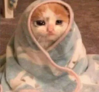 😩 gato, gatito, triste, manta, lindo, animal telegram sticker