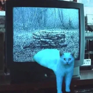 👻 cat, tv, well, forest, animals telegram sticker