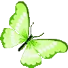 🦋