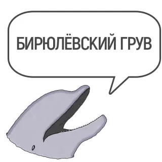 🏢 БИРЮЛЁВСКИЙ ГРУВ delfín, ruso, texto, burbuja, groove whatsapp sticker