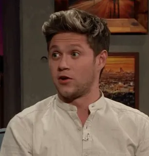 🎸 Niall Horan cantor, celebridade, músico, One Direction, Niall Horan telegram sticker