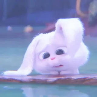 🐰 whatsapp sticker