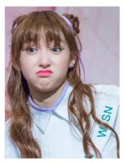 😒 WSN telegram sticker