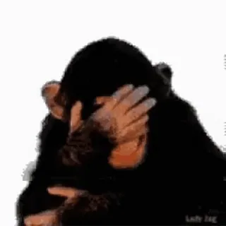 😂 khỉ, động vật, không thấy, cử chỉ, vượn người, linh trưởng telegram sticker
