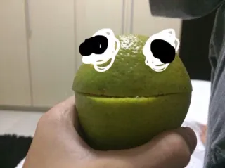 😶 naranja, fruta, ojos, divertido, dibujos animados telegram sticker