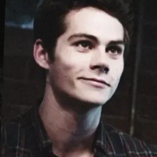 😏 Dylan O'Brien acteur, portrait, célébrité, Teen Wolf, Dylan O'Brien telegram sticker