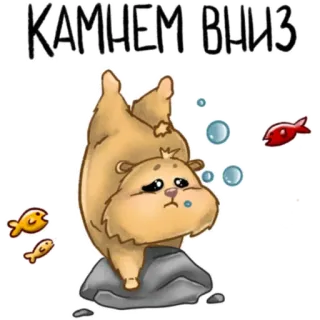 📉 КАМНЕМ ВНИЗ ハムスター, 悲しい, 石, 魚, 泡, 動物, 可愛い telegram sticker