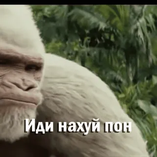 🖕 Иди нахуй пон whatsapp sticker