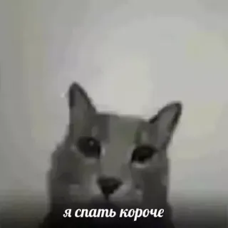 Больше стиков тут: @stikery4 telegram stickers