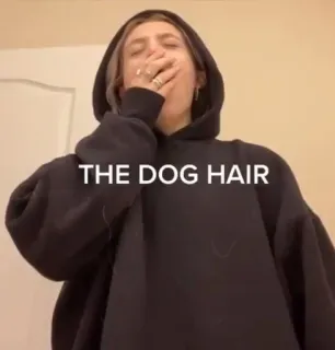 💘 THE DOG HAIR Hund, Haar, Kleidung, Hoodie, Hundehaare telegram sticker