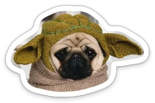 sad_pug_leonid telegram stickers