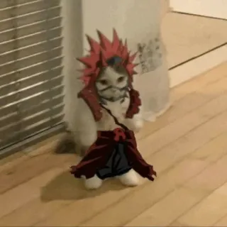 🐈 Eijiro Kirishima My Hero Academia gato, cosplay, kirishima, my hero academia, anime, engraçado telegram sticker