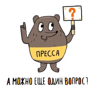 🙃 ПРЕССА urso, pressionar, ponto de interrogação, sinal whatsapp sticker