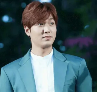 😐 Lee Min-ho attore, celebrità, coreano, uomo, ritratto telegram sticker