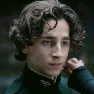 😐 Paul Atreides Dune Timothée Chalamet, Dune, Paul Atreides, movie, sci-fi telegram sticker