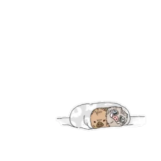 🐗 telegram sticker