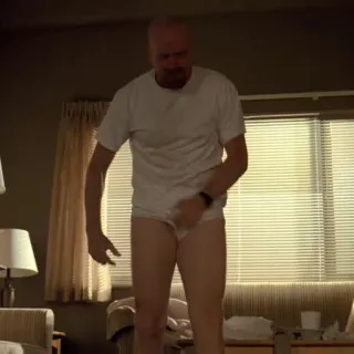 🧪 Walter White Breaking Bad tv show, drama, character, walter white, breaking bad, underwear telegram sticker