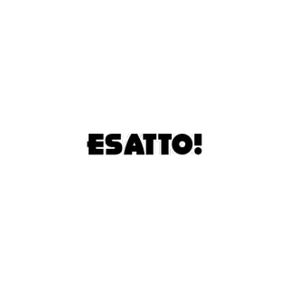 😀 ESATTO! italian, expression, correct, affirmation whatsapp sticker