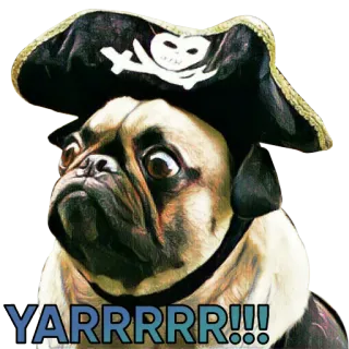 👿 YARRRRR!!! 퍼그, 해적, 개, 이랴, 동물, 코스튬, 웃긴, 애완동물 telegram sticker