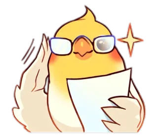 😑 pássaro, óculos, papel, calopsita, animal, fofo telegram sticker