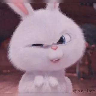 🤨 Snowball The Secret Life of Pets bunny, rabbit, cute, animal, cartoon, animated telegram sticker