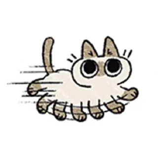 🏃 kucing, berlari, kartun, binatang, lucu whatsapp sticker