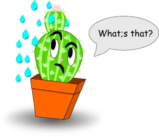 😖 What's that? кактус, растение, вода, вопрос, мультфильм, милый whatsapp sticker