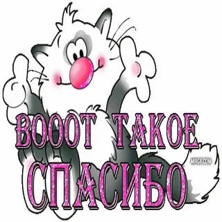 🙏 cat ВОООТ ТАКОЕ СПАСИБО whatsapp sticker