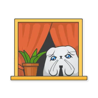 😢 anjing, sedih, jendela, imut, hewan, bulldog whatsapp sticker