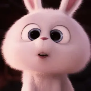 🐰 coelho, fofo, animal, animal de estimação, desenho animado whatsapp sticker