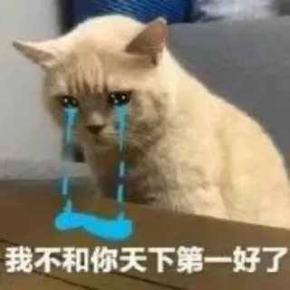 😞 我不和你天下第一好了 gato, triste, llorando, meme, emocional telegram sticker