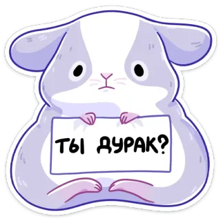 ❓ ТЫ ДУРАК? porquinho-da-índia, animal, desenho animado, fofo, adesivo whatsapp sticker