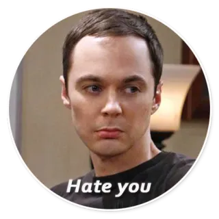 😟 Sheldon Cooper The Big Bang Theory Hate you sitcom, serie de TV, odio, comedia, Sheldon whatsapp sticker